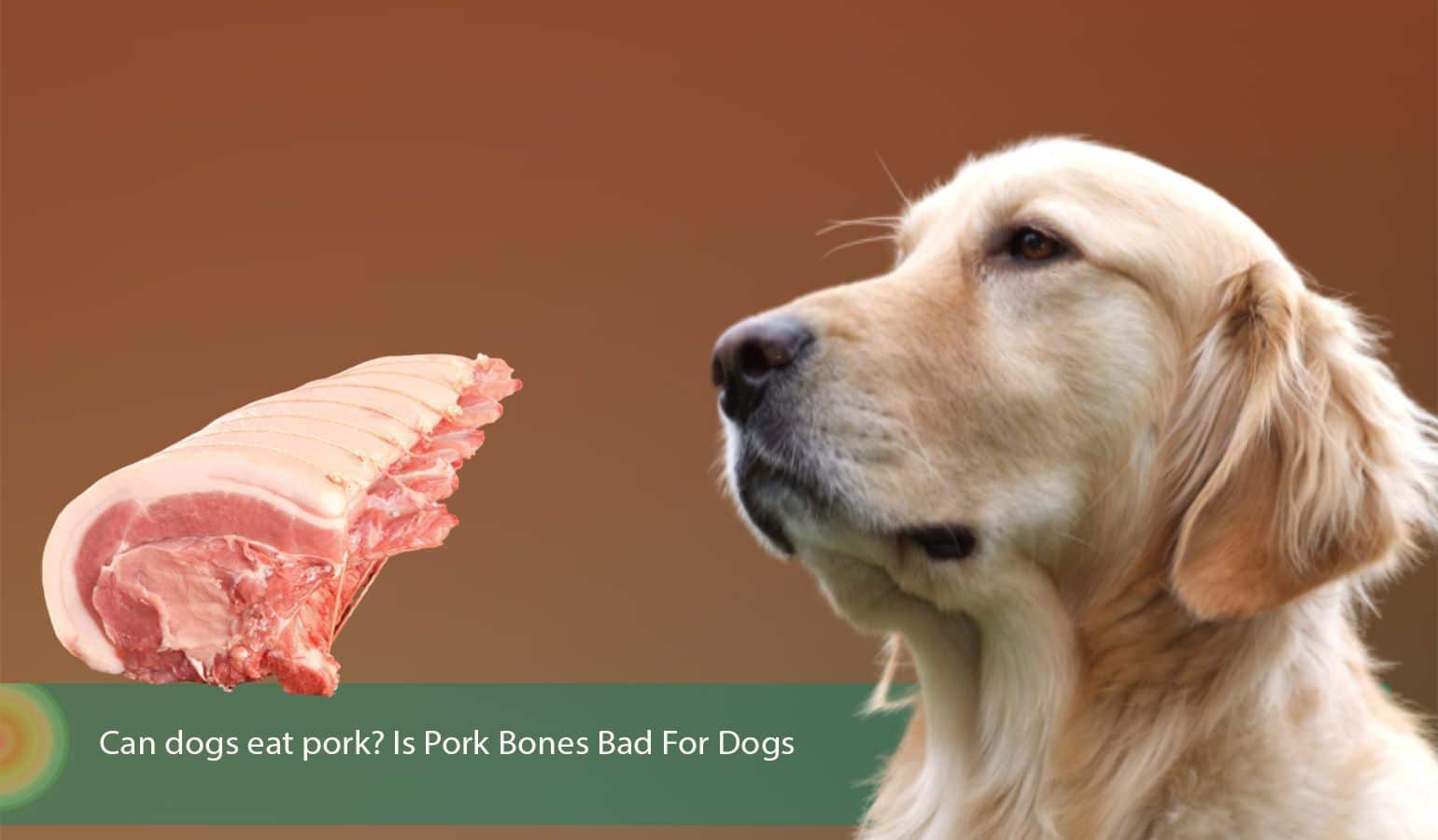 can you give pork bones to dogs