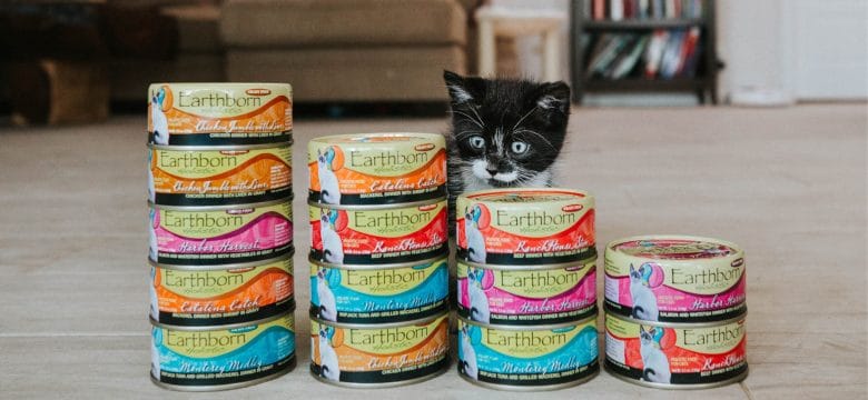 What is (Which) the best Kitten and Cat food? 2021 2022 Types of food